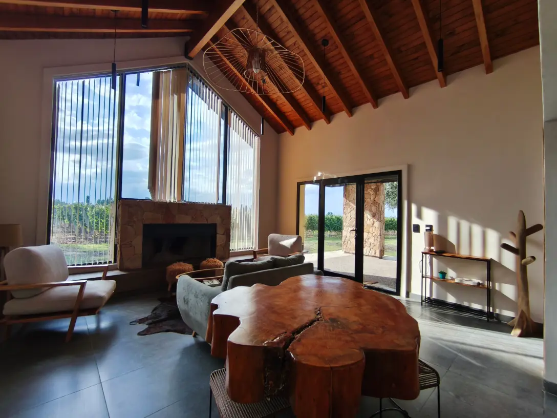 Tiny House among the vineyards